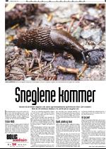 telemarksavisa_bolig-20070404_000_00_00_003.pdf