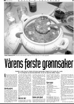 telemarksavisa_bolig-20070425_000_00_00_011.pdf