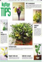 telemarksavisa_bolig-20070523_000_00_00_032.pdf