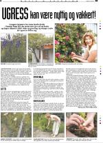 telemarksavisa_bolig-20070627_000_00_00_004.pdf