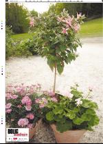 telemarksavisa_bolig-20070711_000_00_00_003.pdf