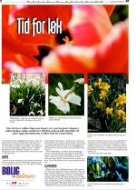 telemarksavisa_bolig-20070919_000_00_00_002.pdf