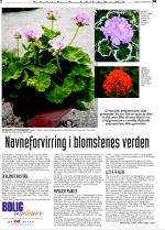 telemarksavisa_bolig-20070926_000_00_00_002.pdf