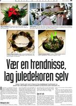 telemarksavisa_bolig-20071205_000_00_00_002.pdf