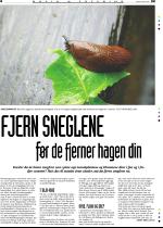 telemarksavisa_bolig-20080423_000_00_00_004.pdf