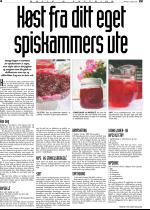 telemarksavisa_bolig-20080827_000_00_00_004.pdf