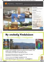 telemarksavisa_bolig-20080827_000_00_00_033.pdf