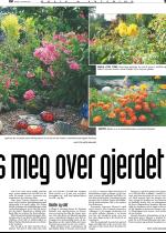 telemarksavisa_bolig-20080903_000_00_00_003.pdf