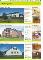 telemarksavisa_bolig-20080903_000_00_00_004.pdf