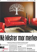 telemarksavisa_bolig-20080917_000_00_00_002.pdf