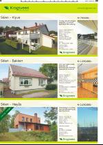 telemarksavisa_bolig-20081001_000_00_00_004.pdf