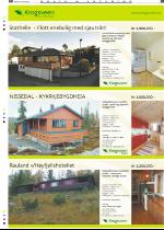 telemarksavisa_bolig-20081022_000_00_00_063.pdf