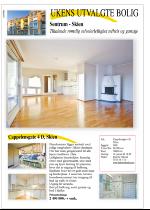 telemarksavisa_bolig-20090107_000_00_00_032.pdf