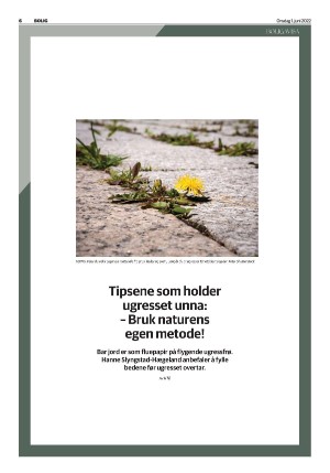 telemarksavisa_bolig-20220601_000_00_00_006.pdf