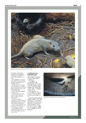 telemarksavisa_bolig-20230222_000_00_00_005.pdf