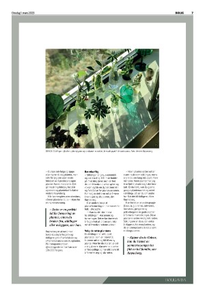 telemarksavisa_bolig-20230301_000_00_00_007.pdf