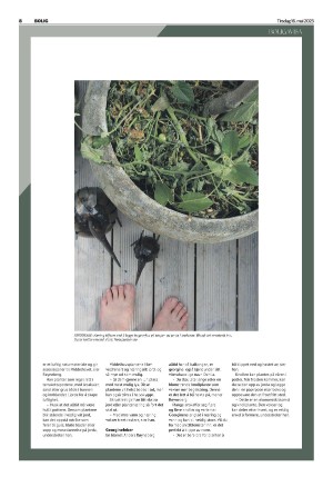 telemarksavisa_bolig-20230516_000_00_00_008.pdf