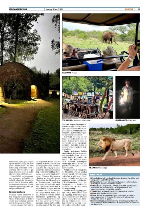 telemarksavisa_seksjon-20240608_000_00_00_011.pdf