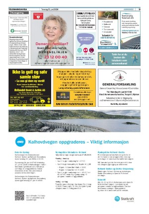 telemarksavisa_seksjon-20240613_000_00_00_011.pdf