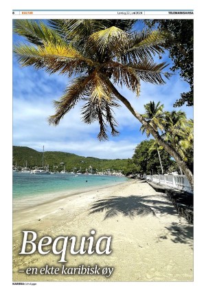 telemarksavisa_seksjon-20240622_000_00_00_008.pdf