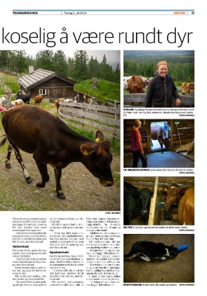 telemarksavisa_seksjon-20240705_000_00_00_017.pdf