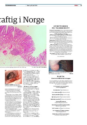 telemarksavisa_seksjon-20240715_000_00_00_013.pdf