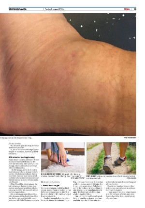 telemarksavisa_seksjon-20240802_000_00_00_013.pdf