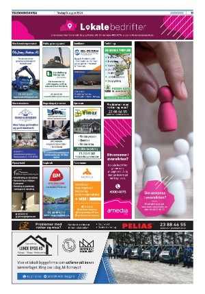 telemarksavisa_seksjon-20240813_000_00_00_011.pdf