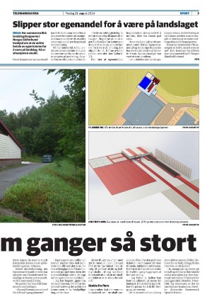 telemarksavisa_seksjon-20240823_000_00_00_003.pdf