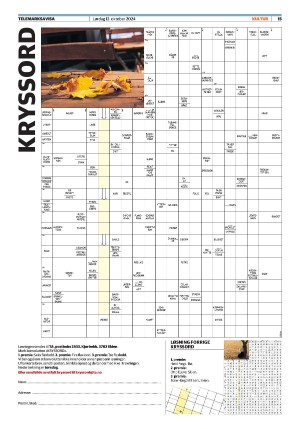 telemarksavisa_seksjon-20241012_000_00_00_015.pdf