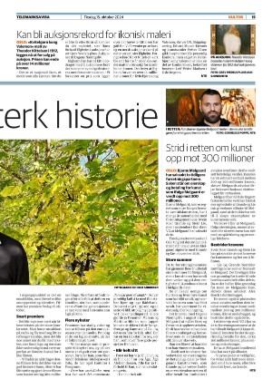 telemarksavisa_seksjon-20241015_000_00_00_015.pdf