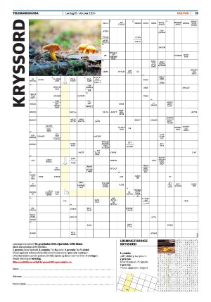 telemarksavisa_seksjon-20241019_000_00_00_015.pdf