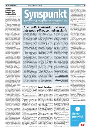 telemarksavisa_seksjon-20241029_000_00_00_013.pdf