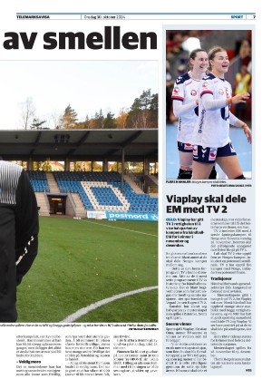 telemarksavisa_seksjon-20241030_000_00_00_007.pdf