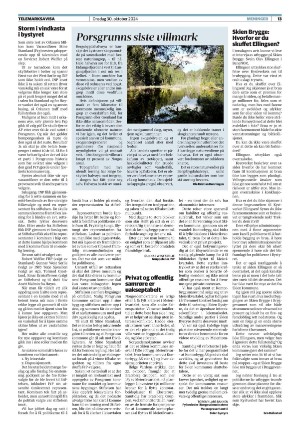 telemarksavisa_seksjon-20241030_000_00_00_013.pdf