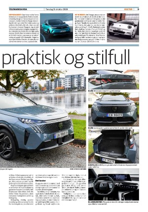 telemarksavisa_seksjon-20241031_000_00_00_009.pdf