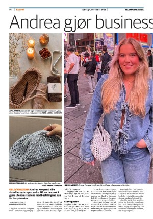 telemarksavisa_seksjon-20241104_000_00_00_014.pdf