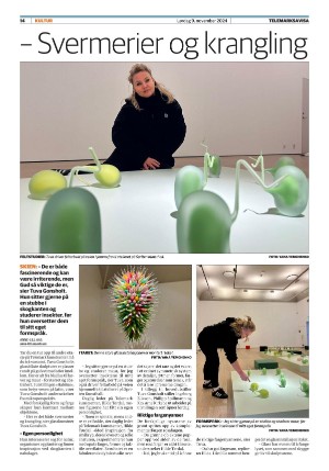 telemarksavisa_seksjon-20241109_000_00_00_014.pdf