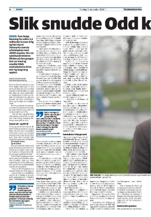 telemarksavisa_seksjon-20241114_000_00_00_004.pdf