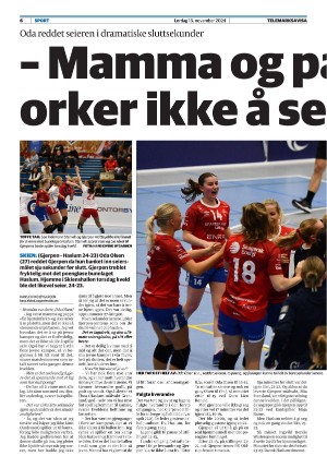 telemarksavisa_seksjon-20241116_000_00_00_006.pdf