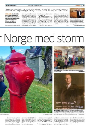 telemarksavisa_seksjon-20241119_000_00_00_015.pdf