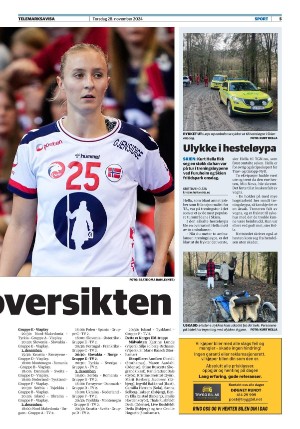telemarksavisa_seksjon-20241128_000_00_00_005.pdf