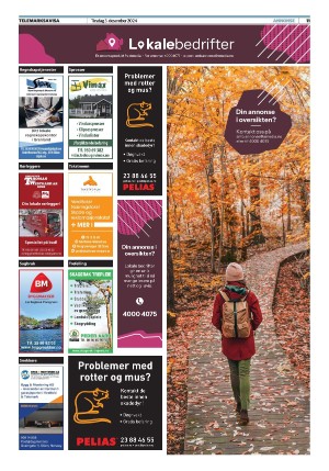 telemarksavisa_seksjon-20241203_000_00_00_011.pdf