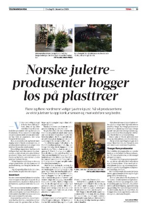 telemarksavisa_seksjon-20241218_000_00_00_013.pdf
