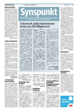 telemarksavisa_seksjon-20241221_000_00_00_011.pdf