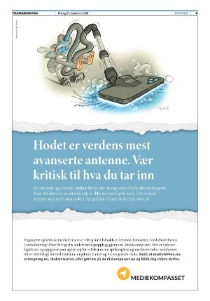 telemarksavisa_seksjon-20241227_000_00_00_011.pdf