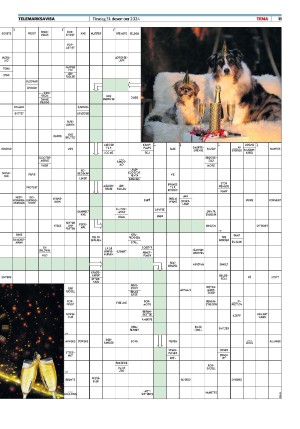 telemarksavisa_seksjon-20241231_000_00_00_011.pdf