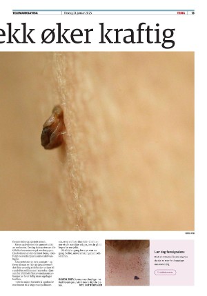 telemarksavisa_seksjon-20250121_000_00_00_013.pdf