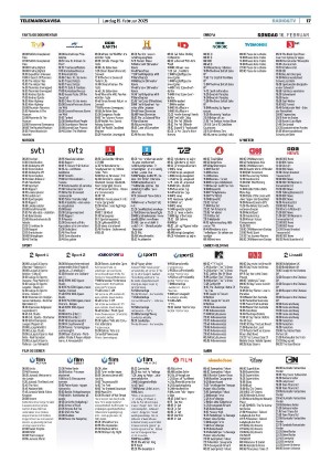 telemarksavisa_seksjon-20250215_000_00_00_017.pdf