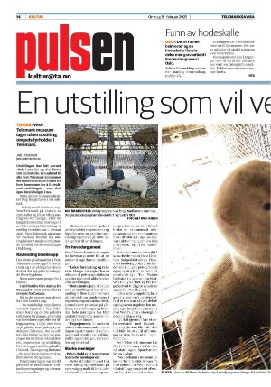 telemarksavisa_seksjon-20250219_000_00_00_014.pdf